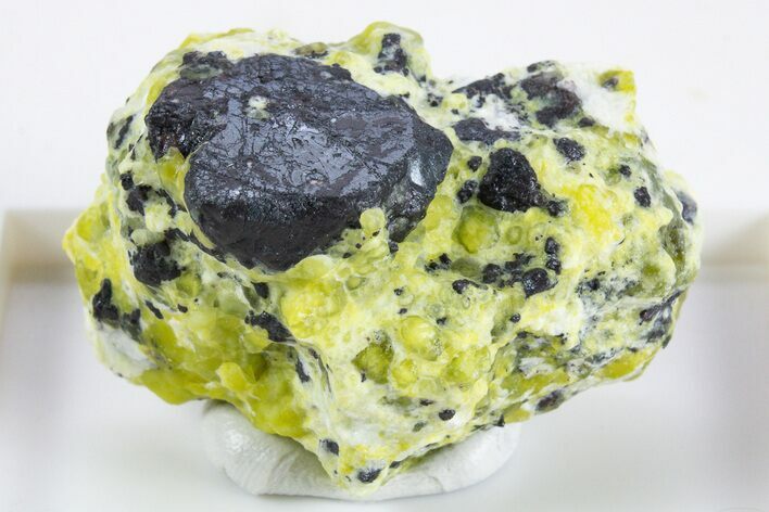 Hematite Crystals with Lizardite and Hydrotalcite - Norway #345746